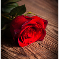 Gunnlaug Marie Andersen